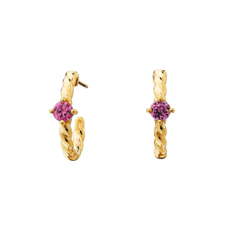 Vermeil Rhodolite Earrings